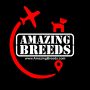 Amazing Breeds